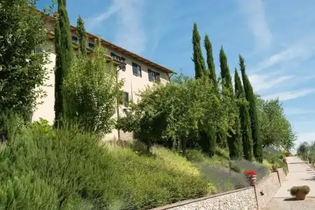 Dievole Wine Resort - 38