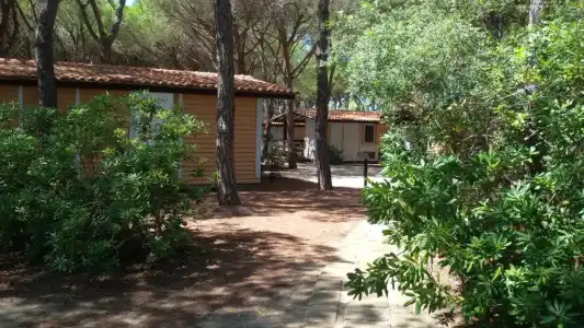 Camping Village Il Sole - 56