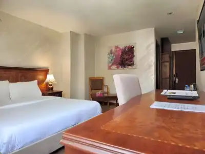 Amman Orchid - 50
