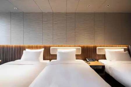 Sotetsu Fresa Inn Seoul Myeong Dong - 47