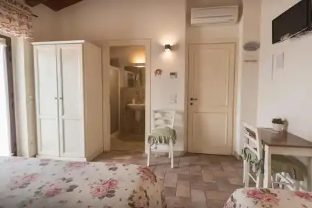 Rosa di Assisi - 21