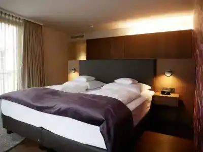 Best Western Premier Rebstock - 118