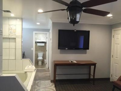 Viking Motel-Ventura - 42