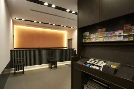 Sotetsu Fresa Inn Ochanomizu Jimbocho - 1
