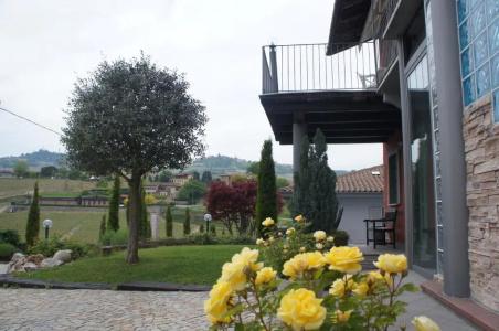 Red Wine Camere - 14