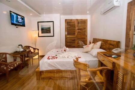 Rex and Apartment - 34