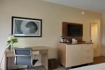 DoubleTree by Hilton Williamsburg - 106
