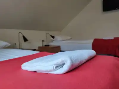 550 Guesthouse - 3