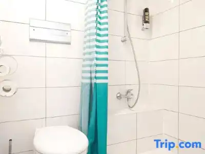 Budget Trianon - 38