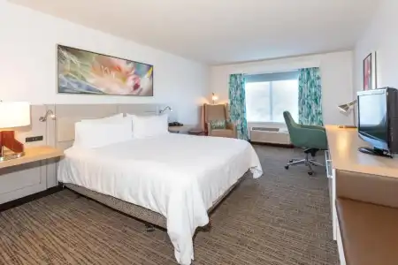 Hilton Garden Inn Daytona Beach Airport - 52