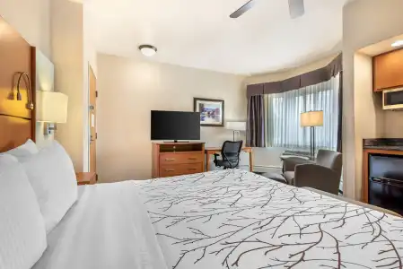 Best Western Plus Silver Saddle Inn - 61