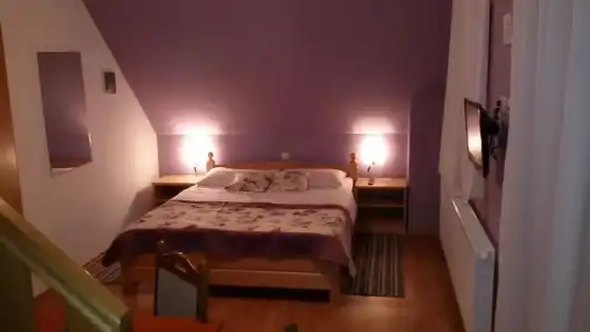 Guest House Wolf - 12