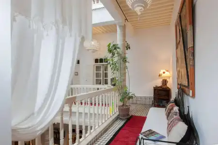 Riad  Emotion - 4