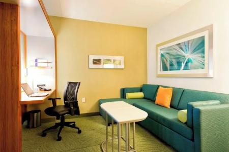 Springhill Suites by Marriott Bellingham - 36