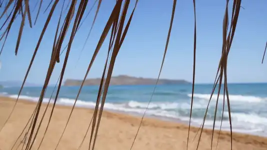 The Mini Beach - 23