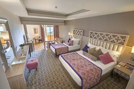 Royal Alhambra Palace – All Inclusive - 69