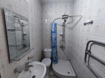 Guesthouse White Swan - 16