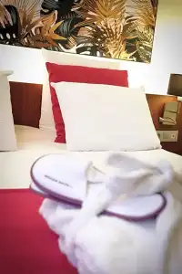 Mercure Perpignan Centre - 50