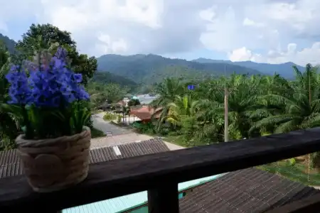 Khao Sok Nature Place - 43