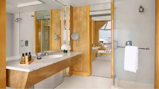 The Ritz-Carlton, Millenia - 52