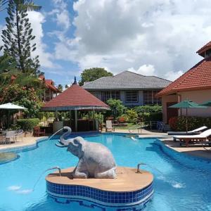 The Pace Phuket Resort - 11