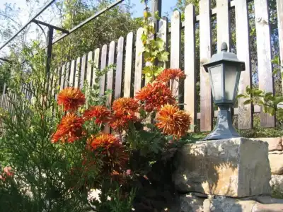 Hostel Mostel Veliko Tarnovo - 15