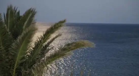 Castelia Bay - 11
