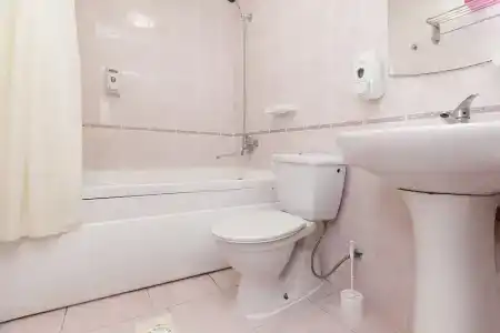 Регина Малые Клыки - 103