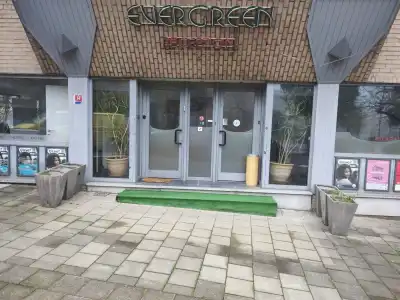 Evergreen - 0