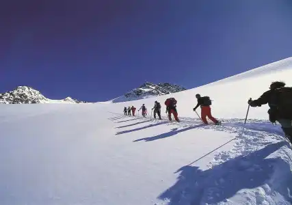 Alp Art - 20
