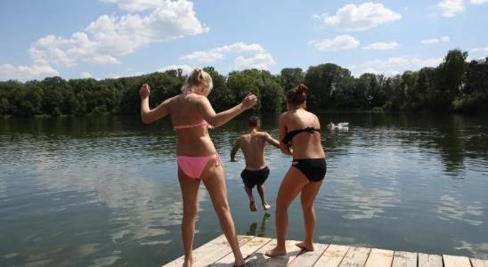 Azur Waldcamping Auwaldsee - 15