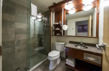 Hôtel & Suites le Dauphin Québec - 86