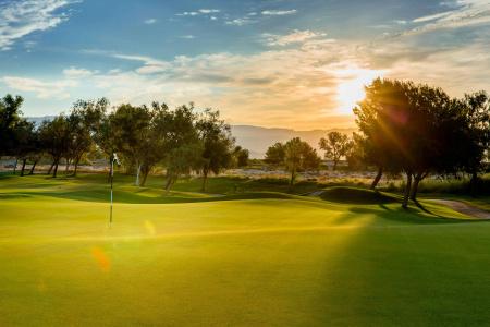 Marriott's Shadow Ridge II- The Enclaves - 45