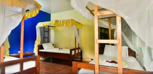 The Nungwi Inn - 15