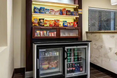 La Quinta Inn by Wyndham Sandusky near Cedar Point - 9