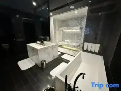 Le Meridien Zhengzhou - 168