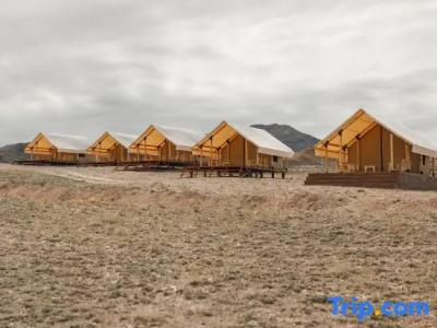 Charyn Canyon Camp - 46