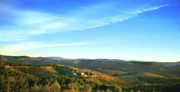 Dievole Wine Resort - 49