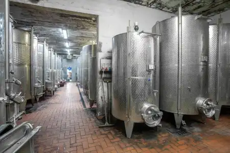 Tenuta Moriano - 6