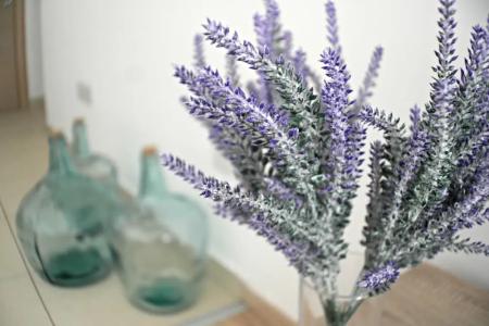 Eden Beach Apartments - 131