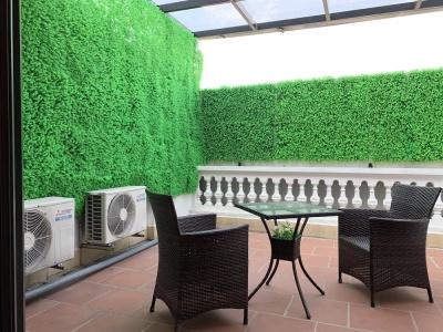 Y PLACE Guest House - 12
