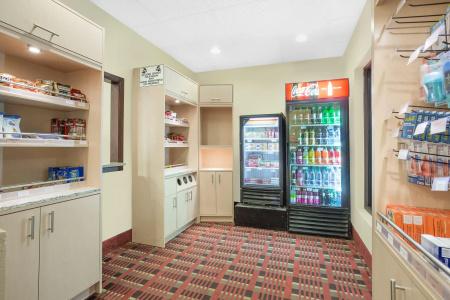 Ramada Denver International Airport - 9