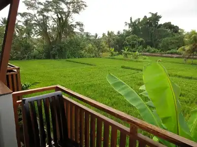 Aniniraka Resort & Spa - 80