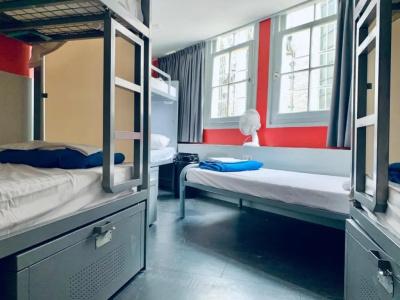 The White Tulip Hostel - 43