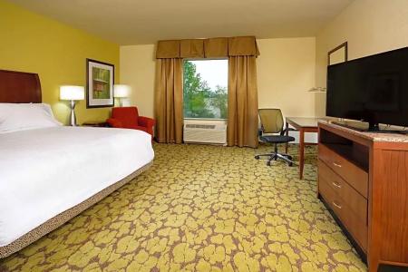 Hilton Garden Inn Greensboro Airport - 118