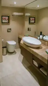 Holiday Inn Kolkata Airport by IHG - 8