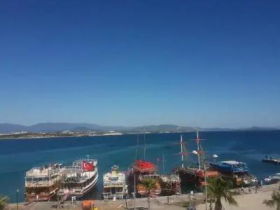 Lion Didim - 8