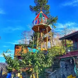 Olimbera Köy Evi - 8