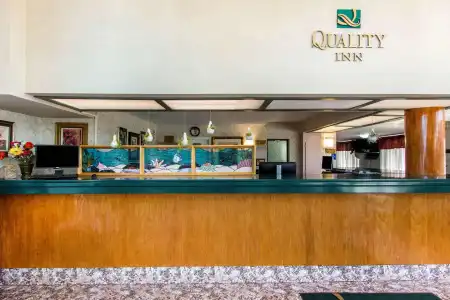 Rodeway Inn Clearwater - Central - 23