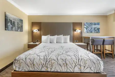 Best Western Airpark - LAX Airport LA Stadium - 43